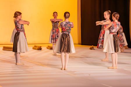 Območna revija plesnih skupin Finesa plesa 2024 (19)